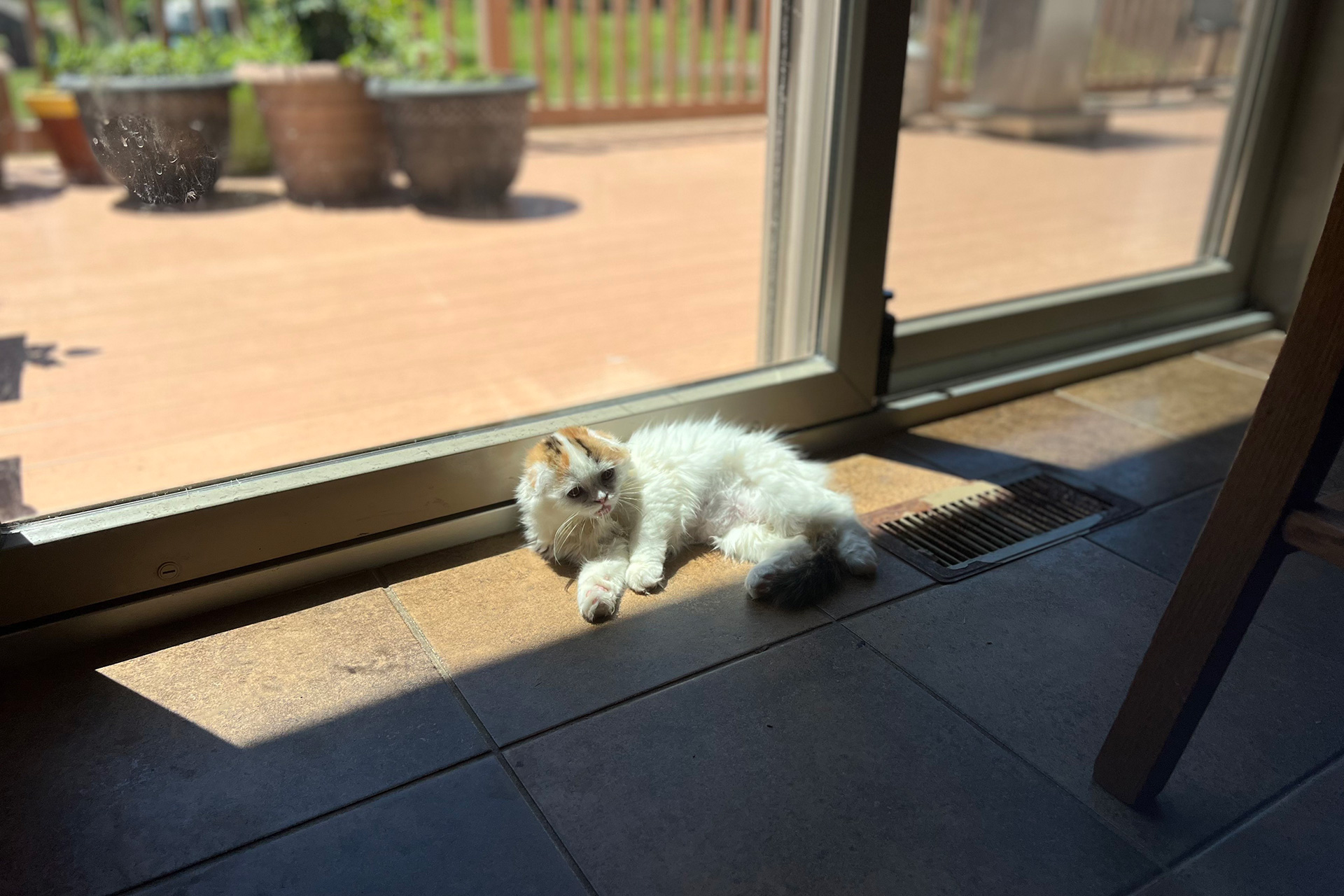 Please don't disturb my nap.